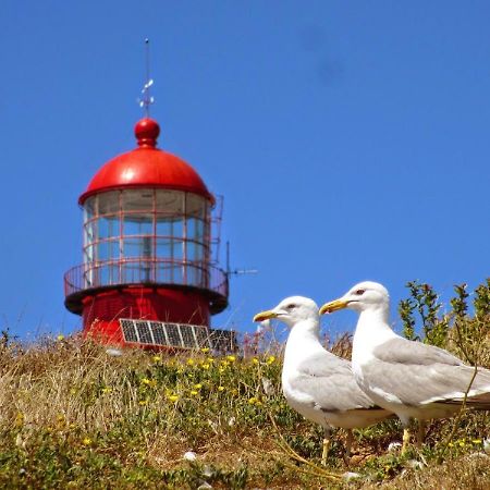 Best Houses 22- Great Location In Baleal! Peniche Eksteriør billede