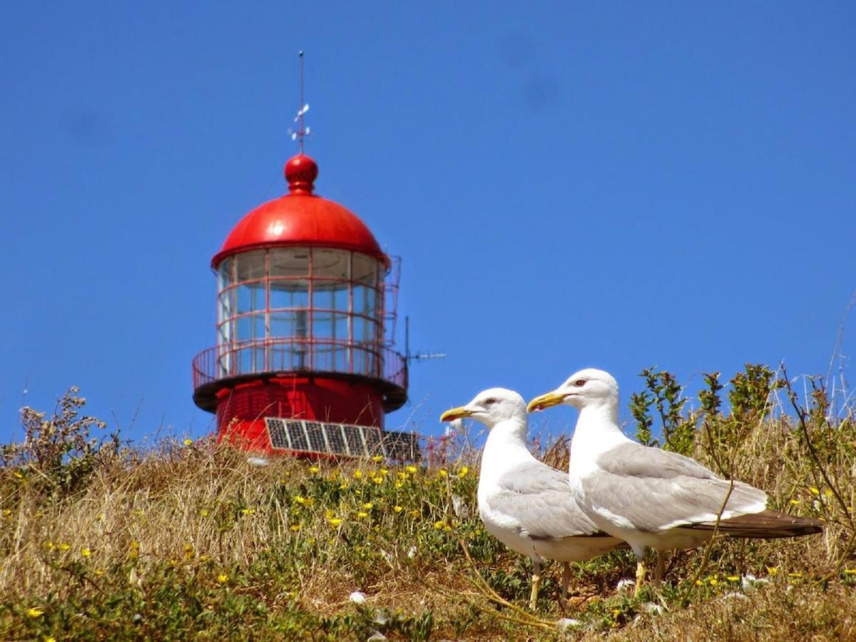 Best Houses 22- Great Location In Baleal! Peniche Eksteriør billede